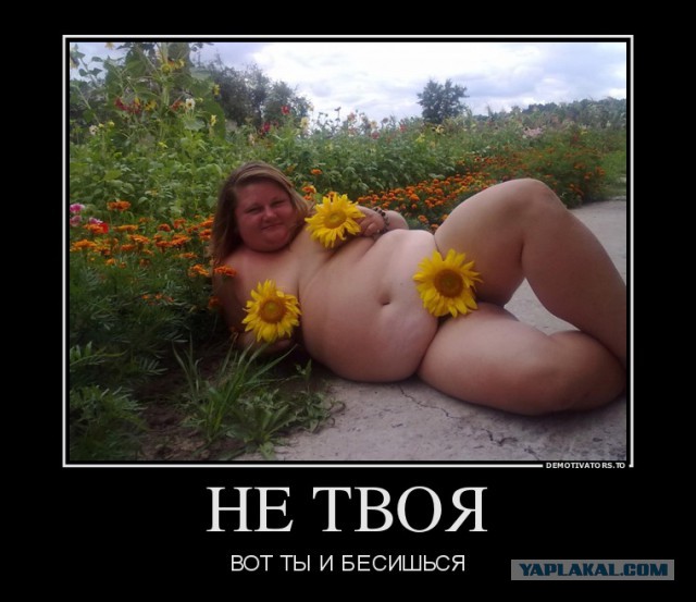 Попутчица (18+)