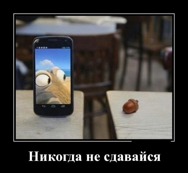 Веселое из сети