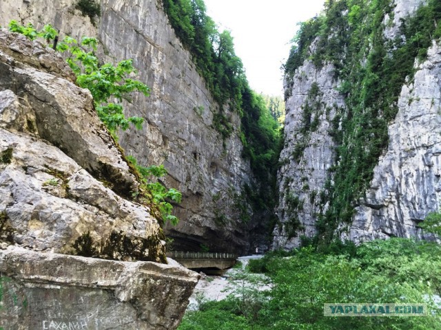 Абхазия, пансионат "Самшитовая роща"