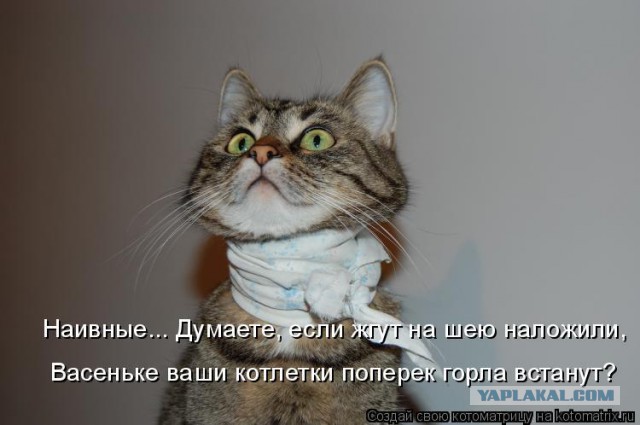 Бесконечные лохи России
