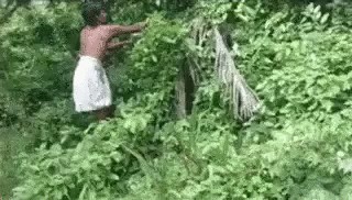Несколько гифов на четверг