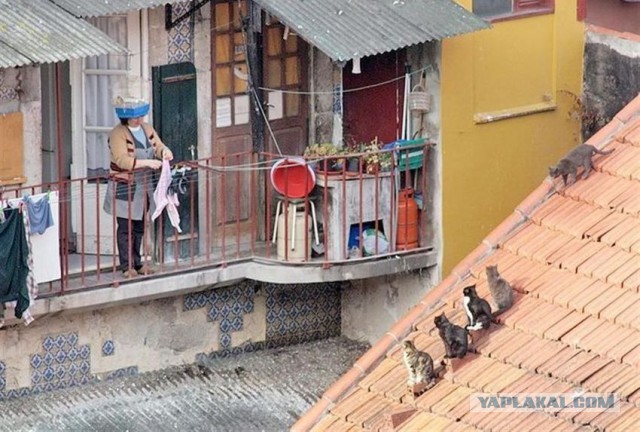 Балконы бывают разные