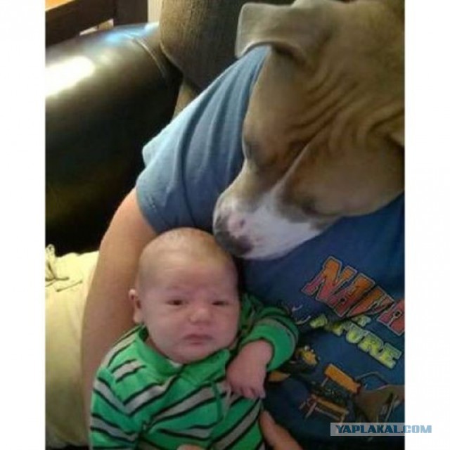 Картинки из сети, подборка