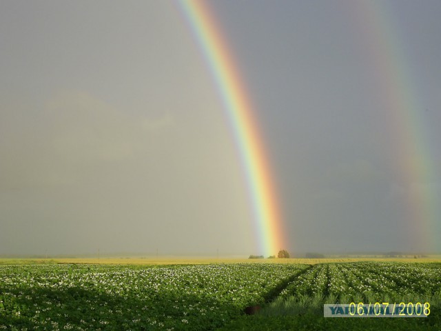 Вот оно какое наше лето!