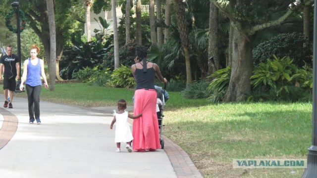 Флорида.Орландо.