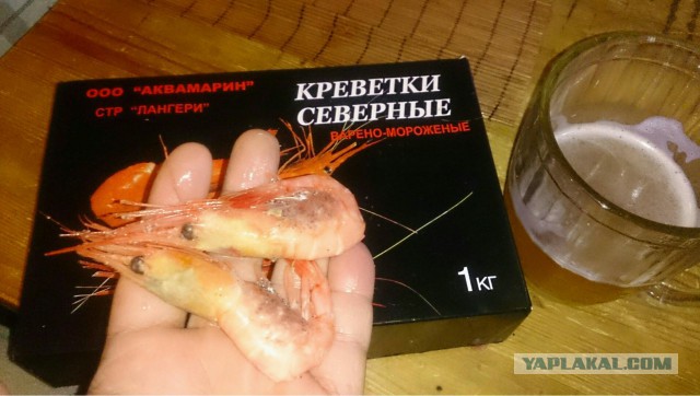 5 килограмм креветок!