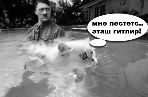 Фотожаба: Офигевший пловец