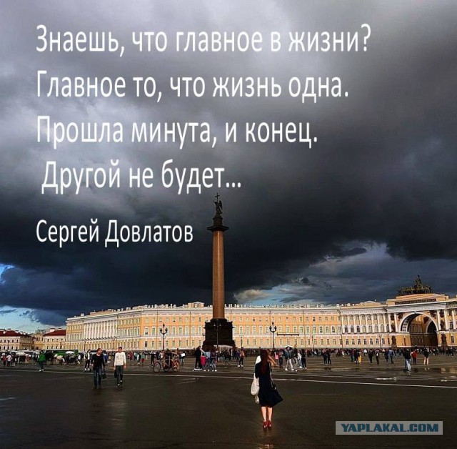 Картинки и приколы из сети, для поднятия настроения=)
