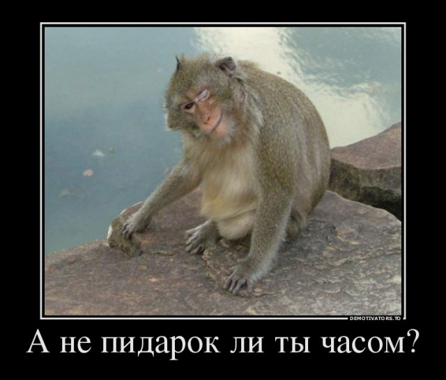 Фото из конкурса на самую смешную фотографию дикой природы