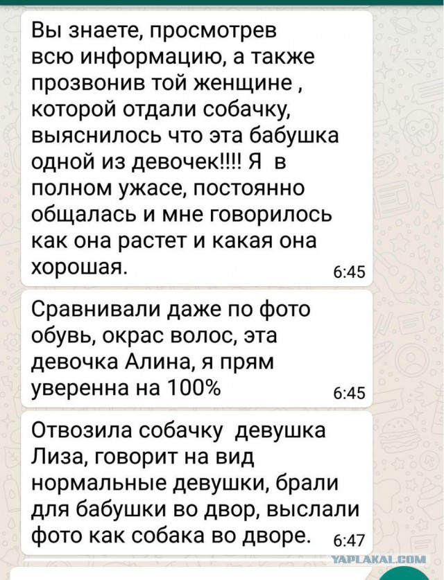 Живодерки из Хабаровска