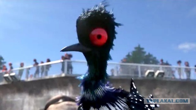 Питохуи: самая ядовитая птица планеты