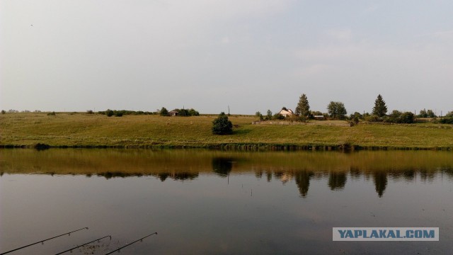 Лето закончено. Давайте вспомним о рыбалке