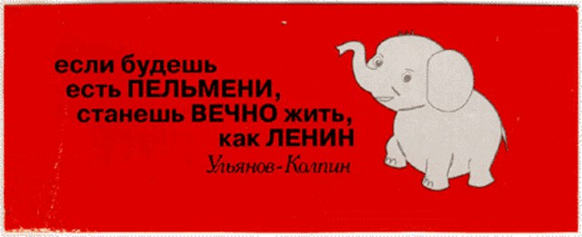 Свидетель из Фрязино: ушёл, чтобы остаться