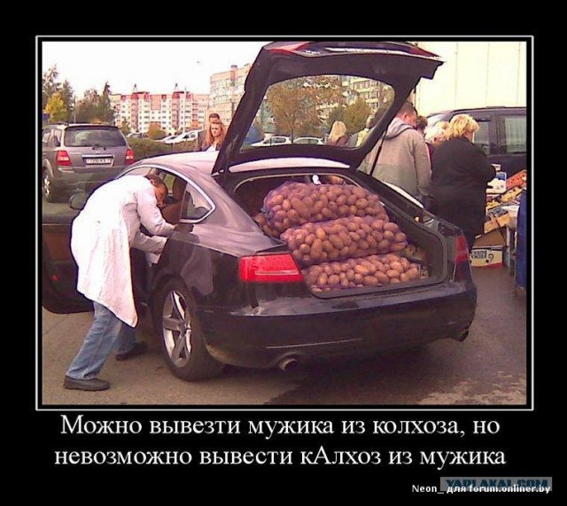 Дефицит картофеля в мире