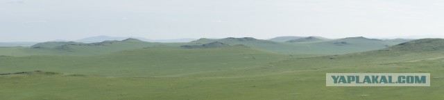 Поисковой отряд ЛизаАлерт дает полезный урок