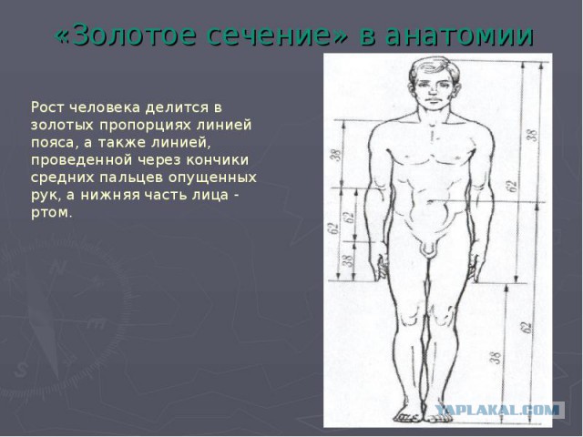 Скайлеб, очередной блеф от НАСА и прочие их фейки