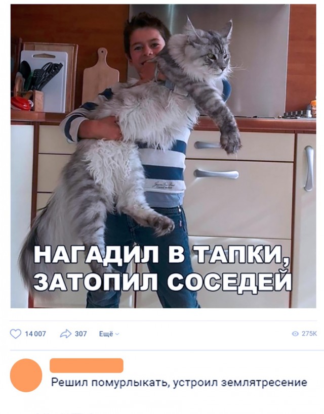 Немного милоты