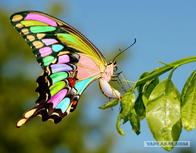 Так... Проверим...