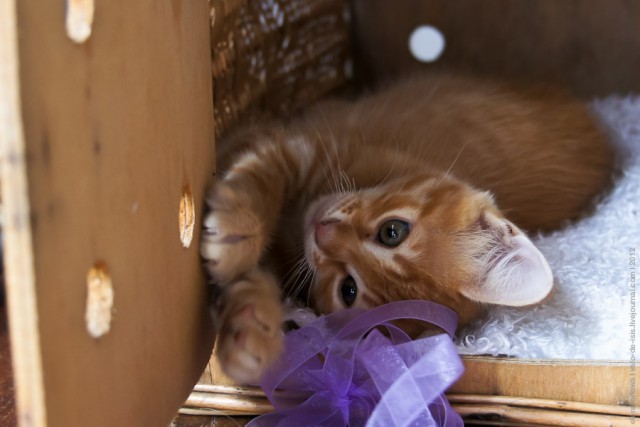 Один мой день. Самый первый!