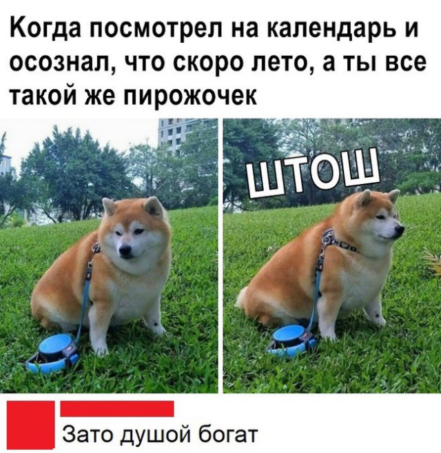 Немного картинок для настроения