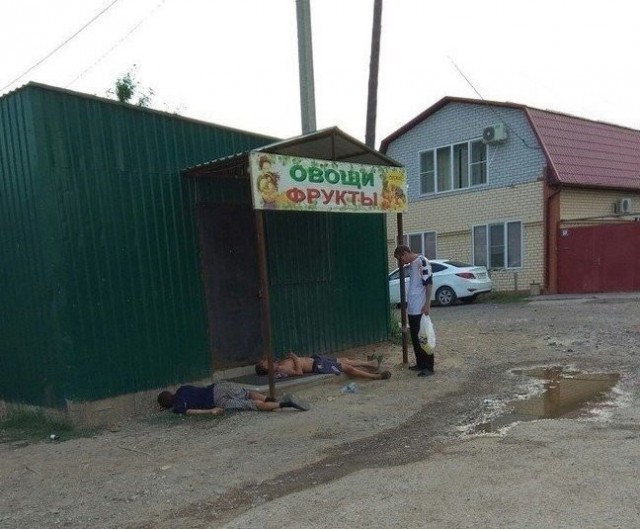 Даёшь картинкой по понедельнику
