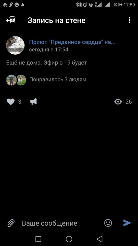 Помогите вернуть кота! Приют "Преданное сердце" украл кота и не отдает!