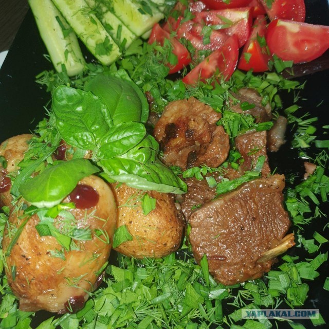 Хазан хоровац