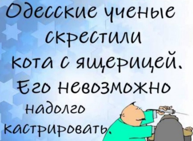 Бредзона 16.06.2020