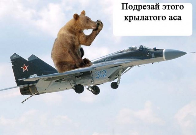 Маша-а-а!Аууууу!