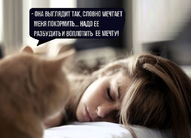 Картинки и всякие жизненные фразы