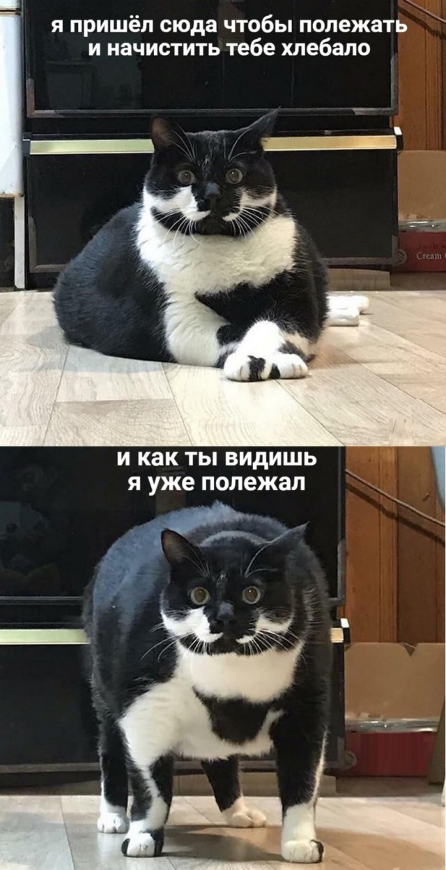 Картинки с надписями и всякие жизненные фразы 2.01.2021