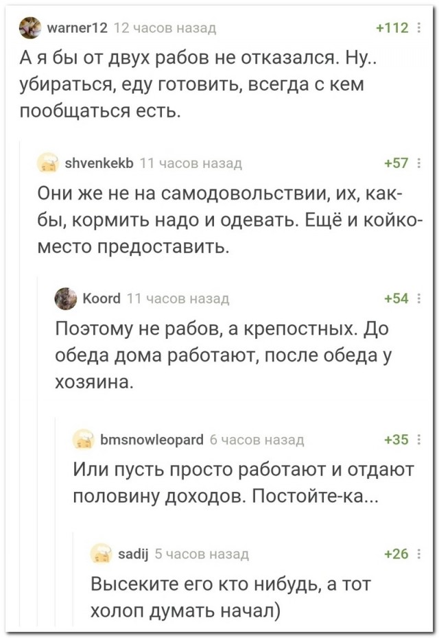 Забавные комментарии из социальных сетей 01.02.21
