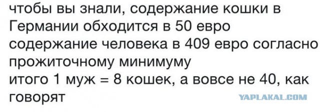 Бредзона 08.02.2021