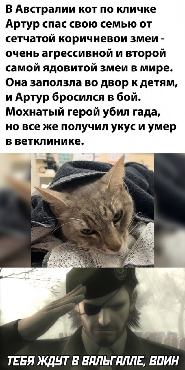 Картинки и мемы для настроения 24.02.2021
