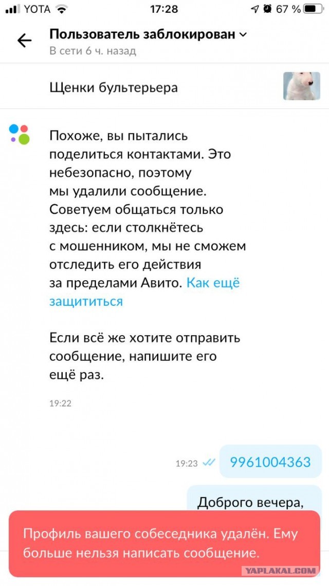 Мошенники на продаже щенков