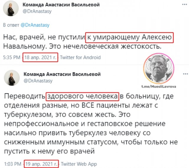 Алексея Навального переводят из колонии в стационар областной больницы для осужденных