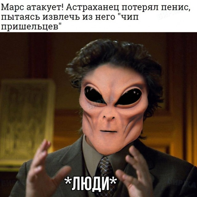 Весёлый полтишок 20.07