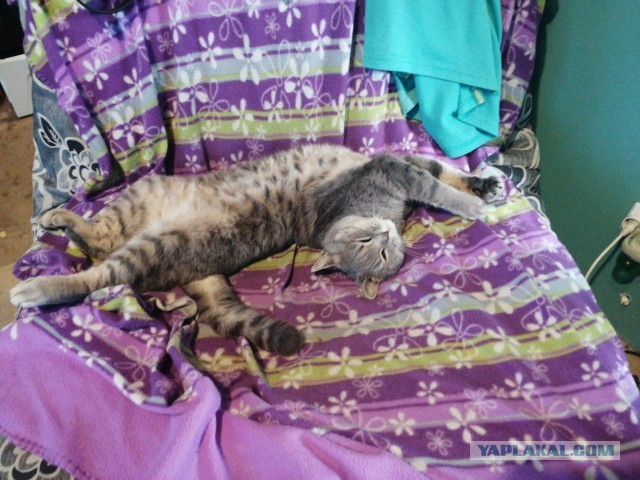 Парень который всегда рядом