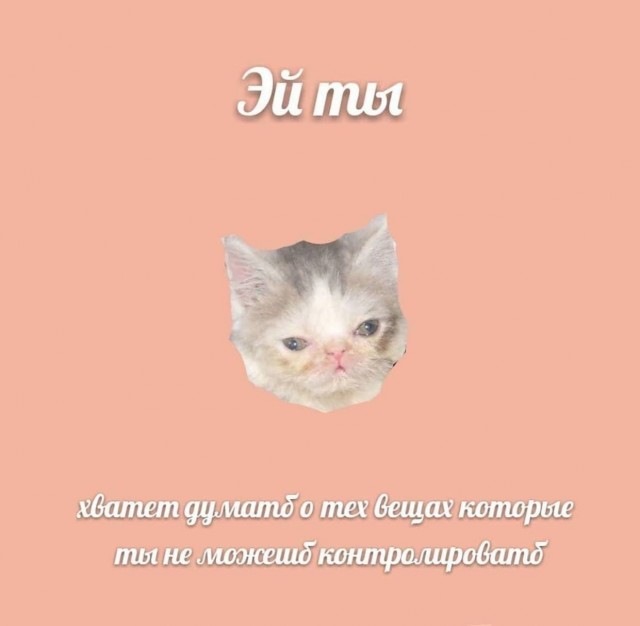 Птички-невелички, налетай