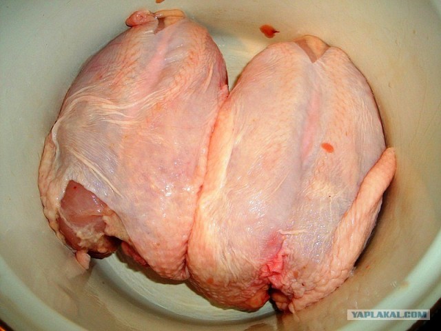 International одной книги., В память о Дженибеке.