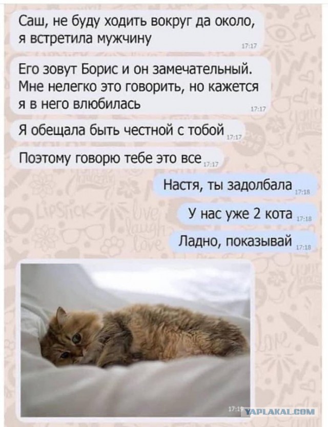 Забавные шутки, картинки и фразы из этих ваших интернетов 27.10.2021