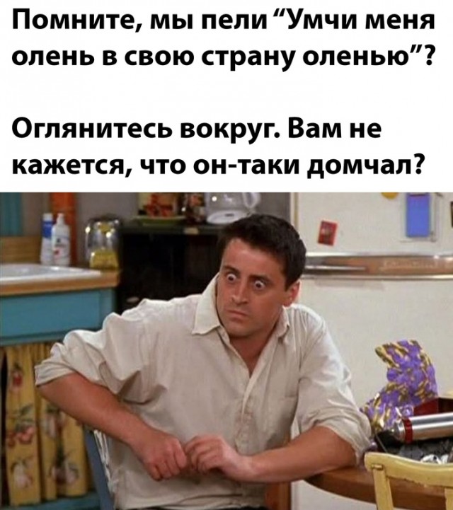 Весёлый полтишок 08.12