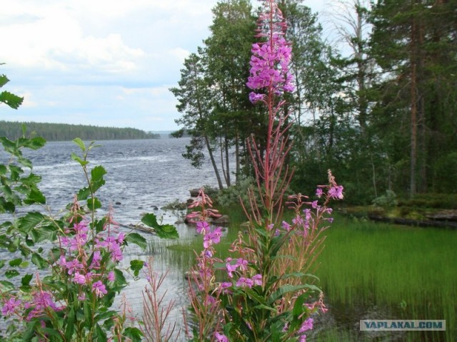 Карелия, финская граница