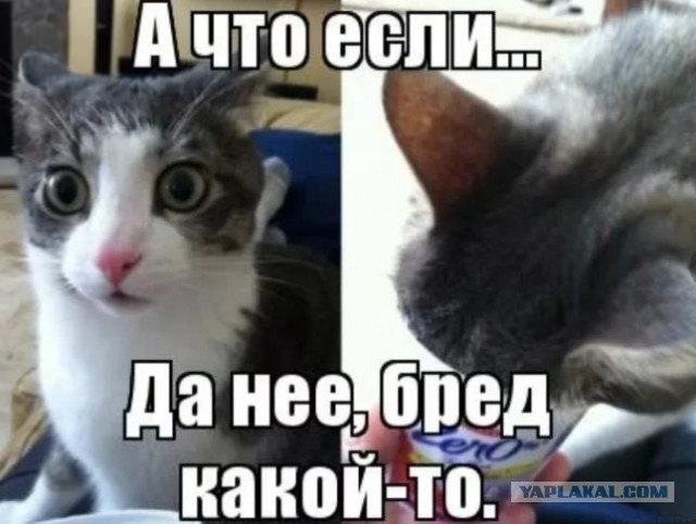 105 лет назад. Распутин, которого мы потеряли