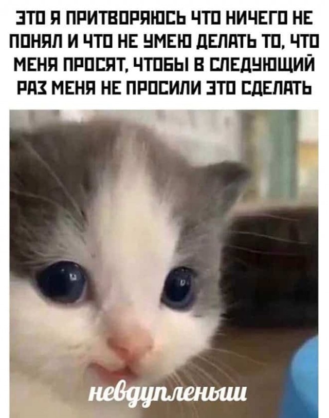 Баянисто-небаянистый юмор 13.01.22