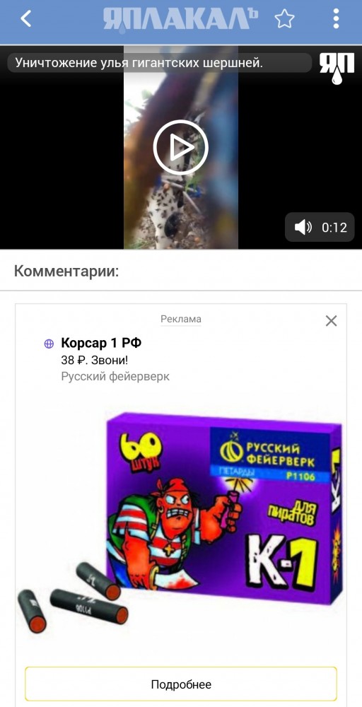 Уничтожение улья гигантских шершней