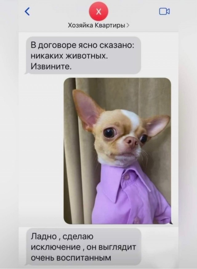 Так себе картинки 13.04.22