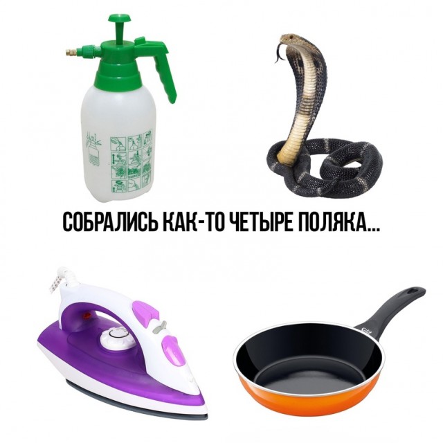 Весёлый полтишок 03.06.22
