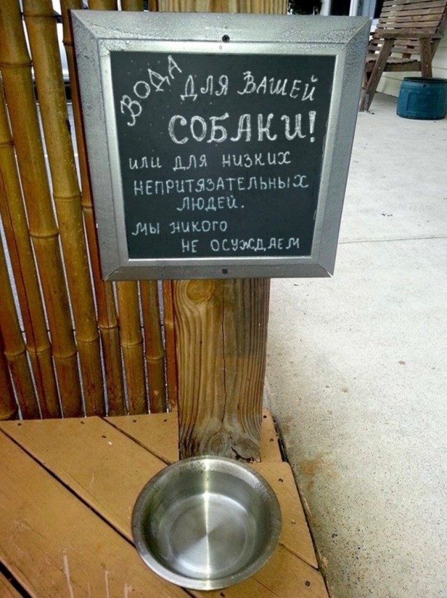 Так себе картинки 12.07.22