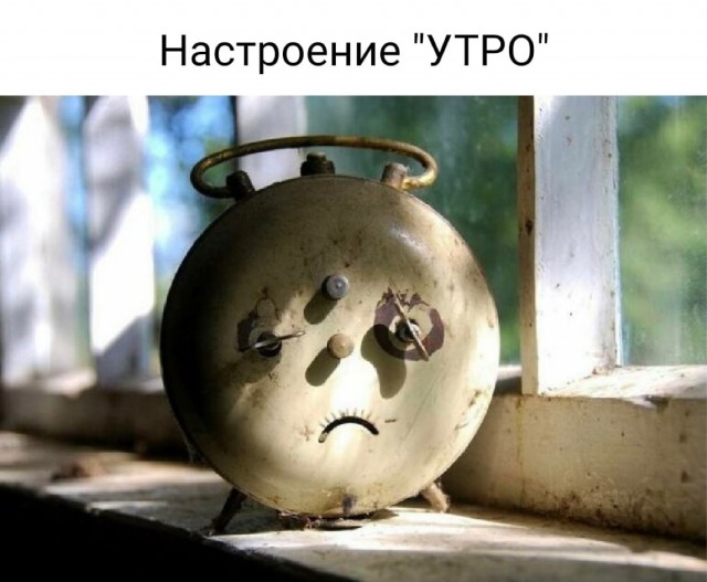 Так себе картинки 15.07.22